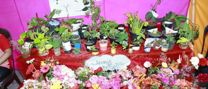 016fe14e-9c57-40c0-a648-c4cc0c374f11