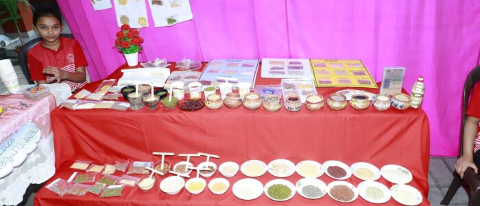 81c11b8c-3f06-4b9c-8b62-fab2261c10e7