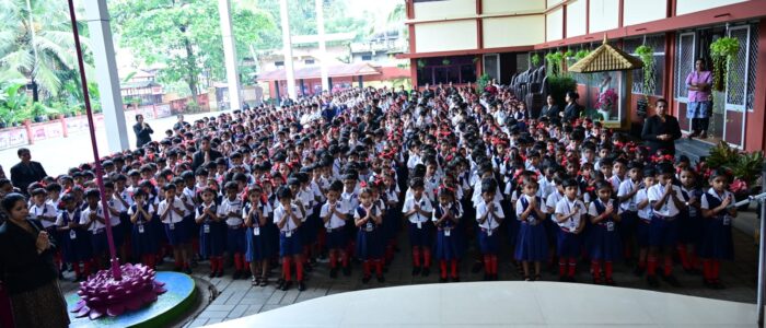 355cd9a8-7699-40dd-8dd3-87162469fe86